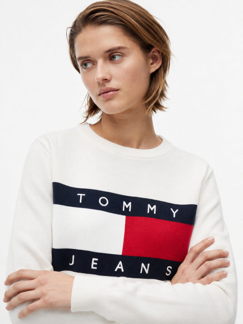 Full Sleeve Regular Fit Pullover