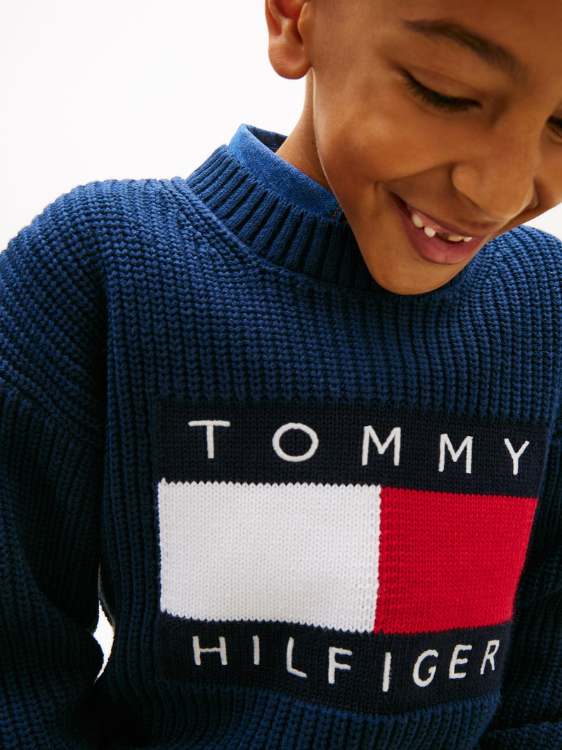 Kids Flag Logo Sweater