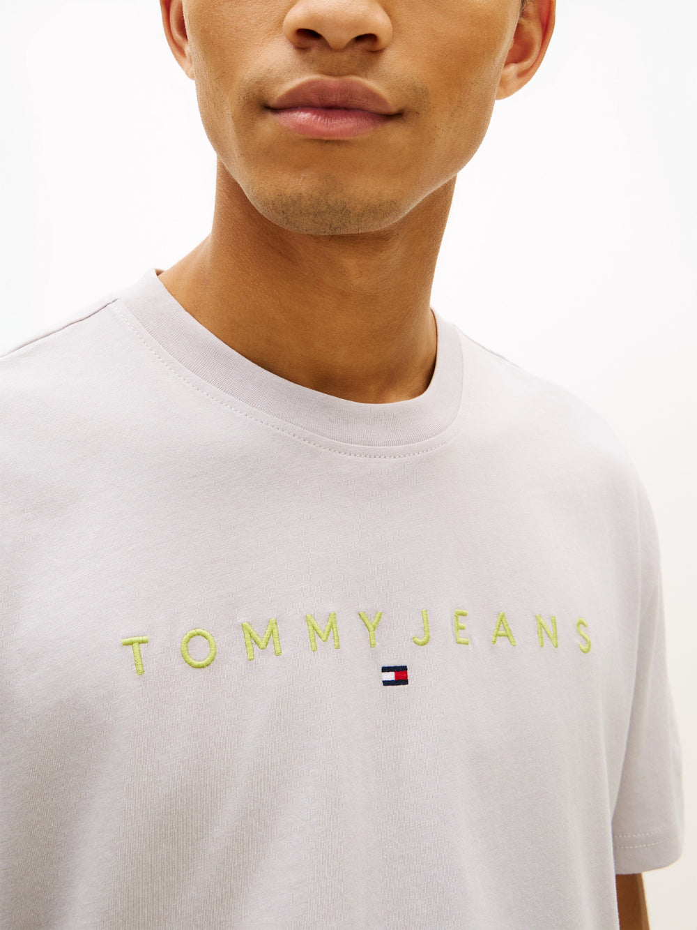 Regular Fit Linear Logo T-Shirt