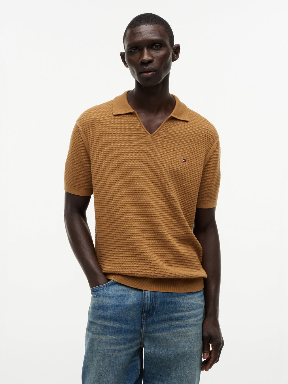 Regular Fit Flat Knit Polo