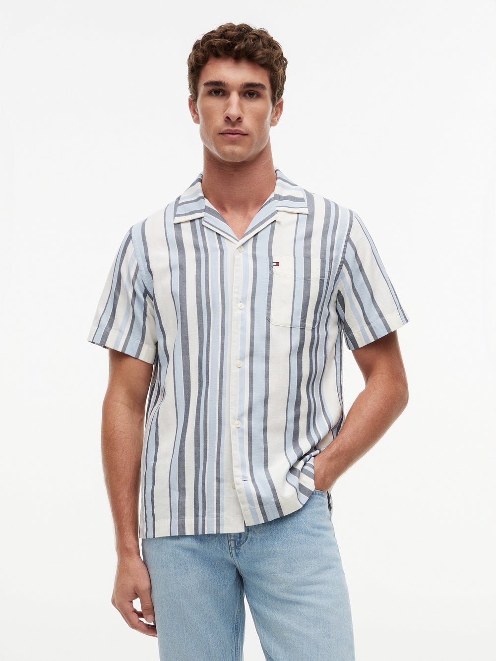 Regular Fit Stripe Dobby Shirt