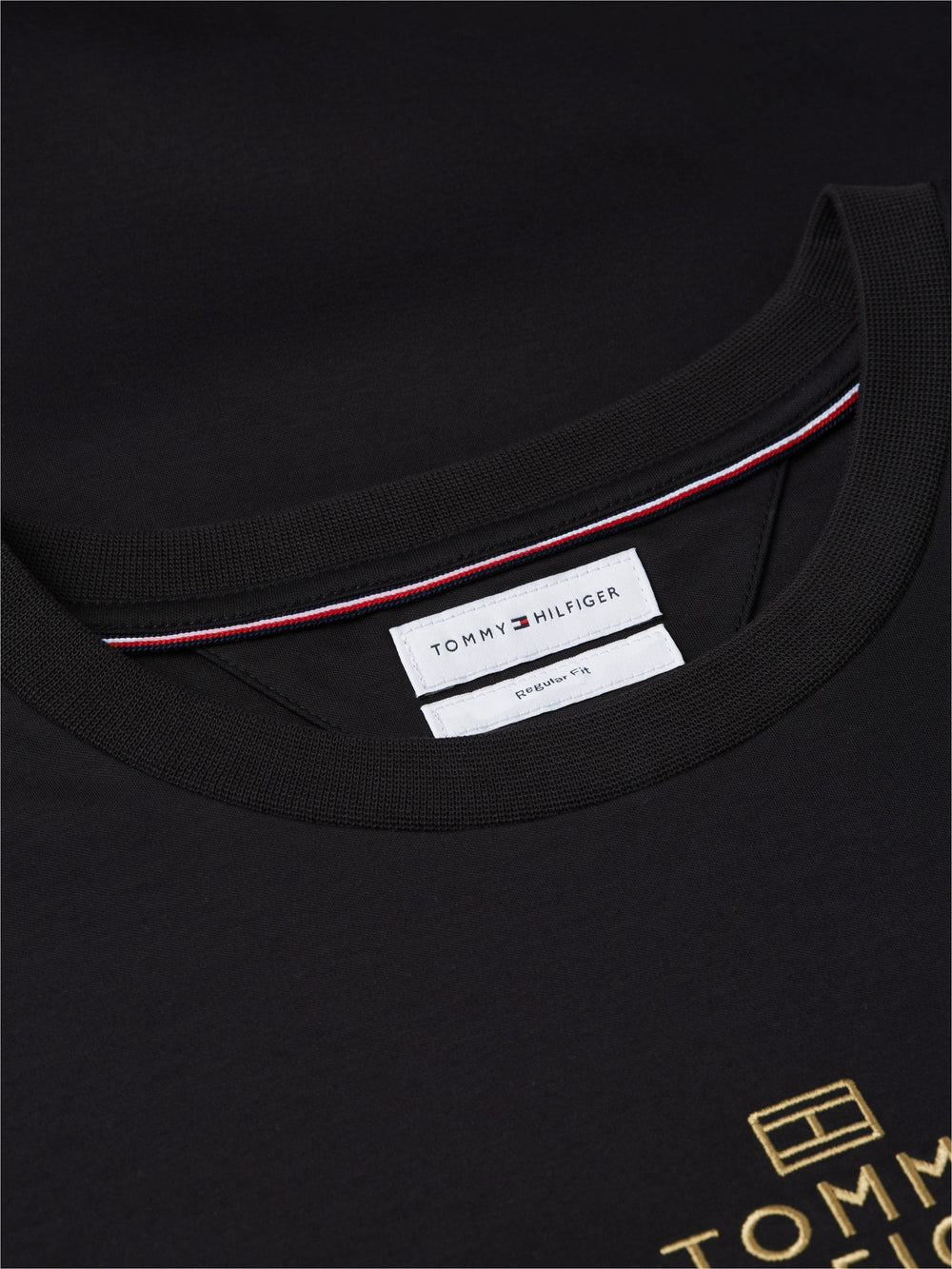Regular Fit Embroidered Interlock Tshirt