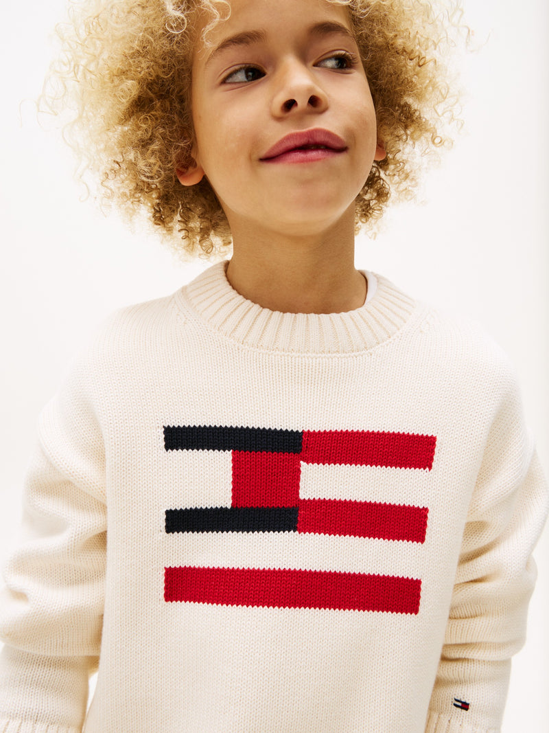 Kids Flag Logo Sweater