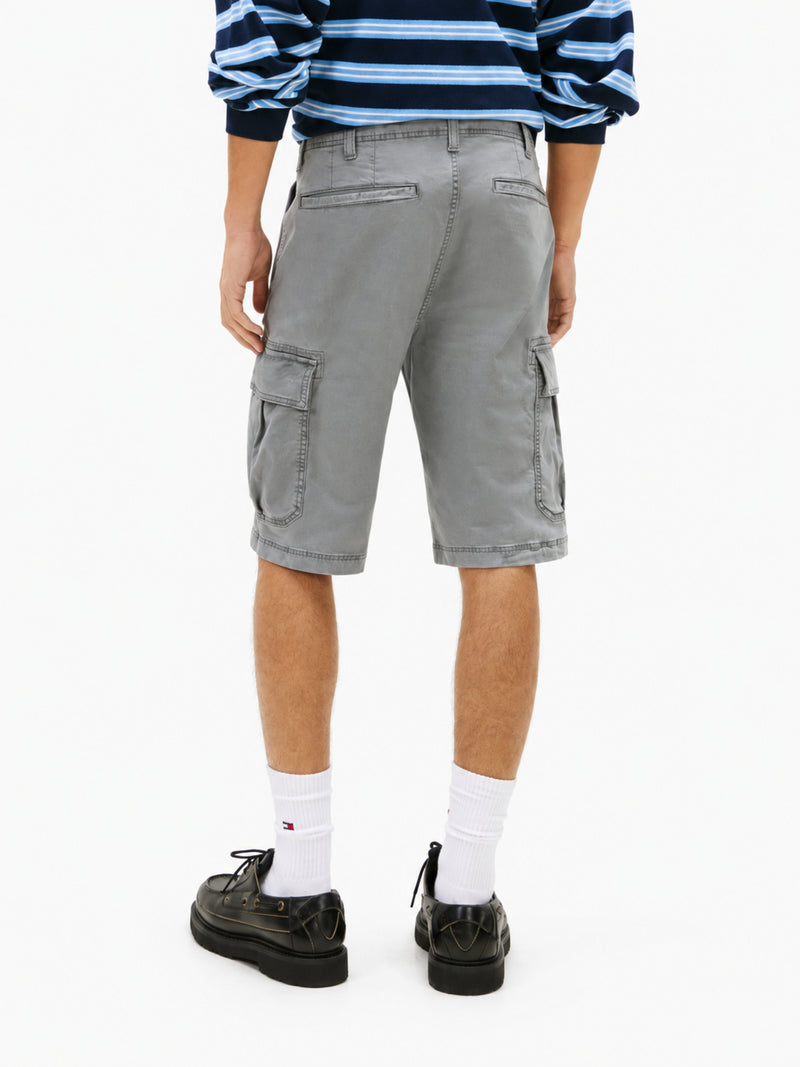 Men Regular Straight Fit Shorts