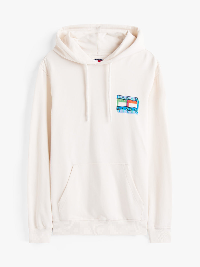 Regular Fit Terry Hooded Sweatshirt