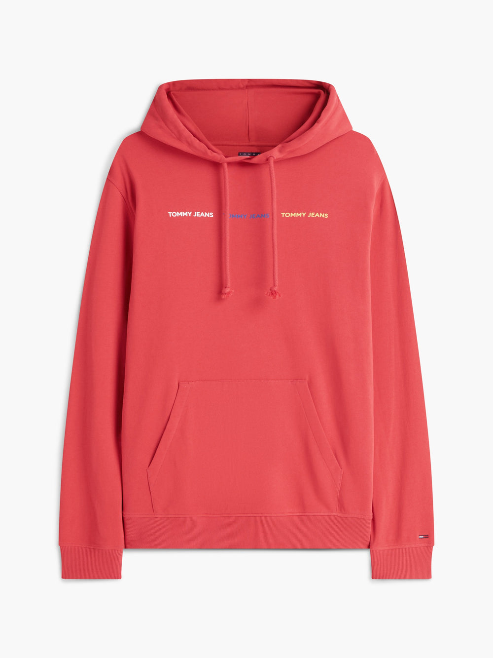 Regular Fit Terry Hooded Sweatshirt