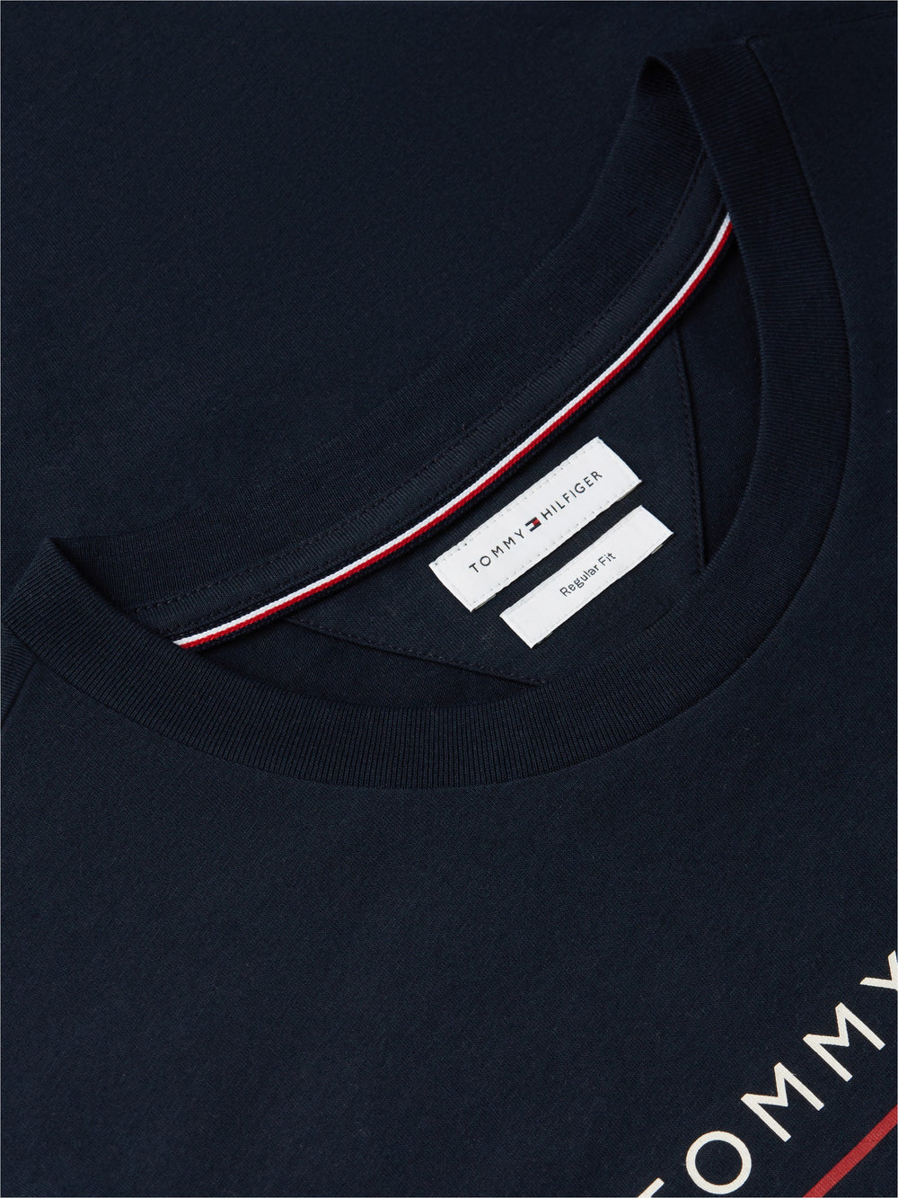 Regular Fit Graphic Tshirt