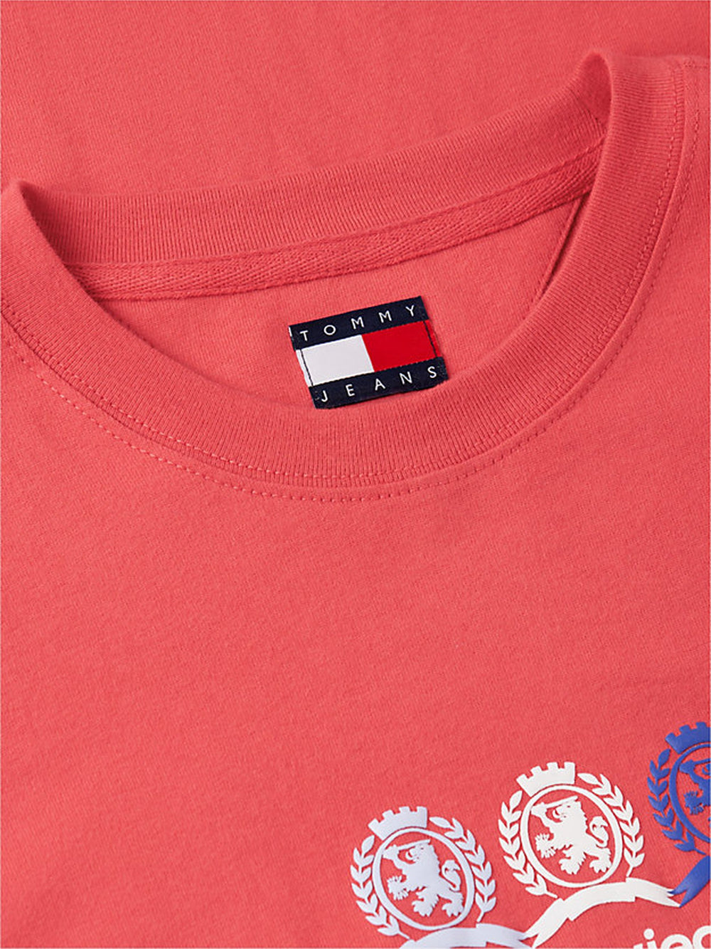 Relaxed Fit Graphic T-Shirt