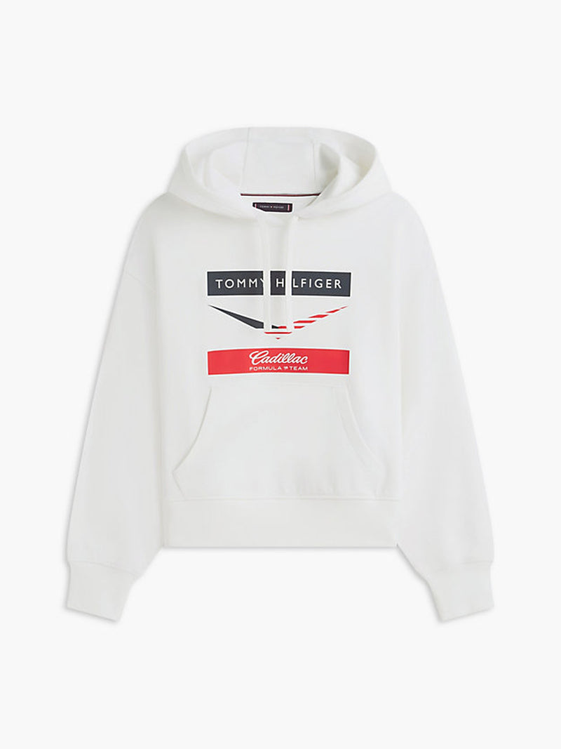 Regular Fit Terry Hoodie