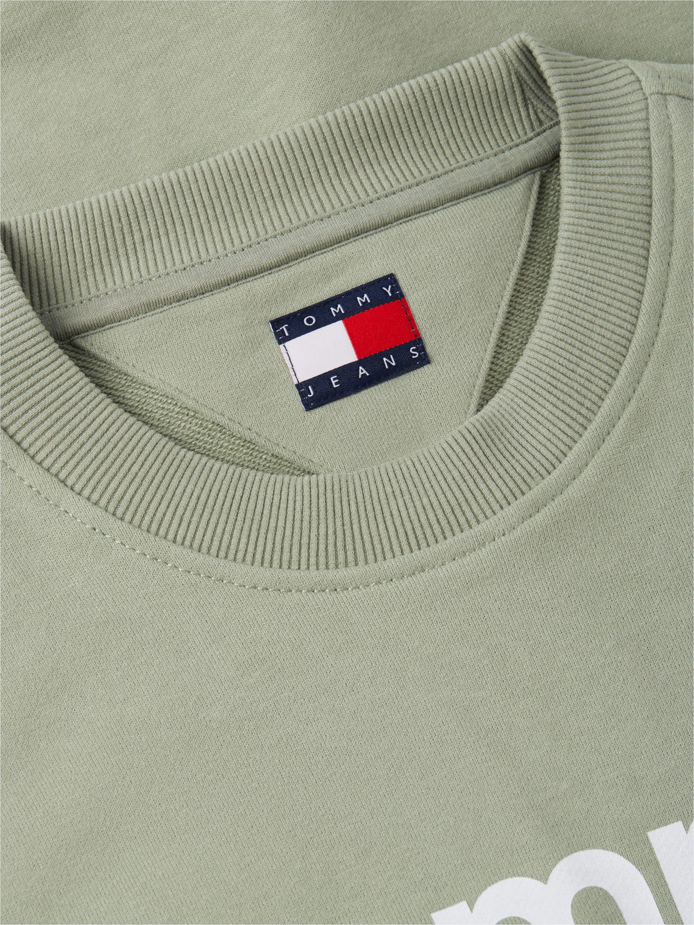 Regular Fit Suede Terry Crew Neck Sweatshirt