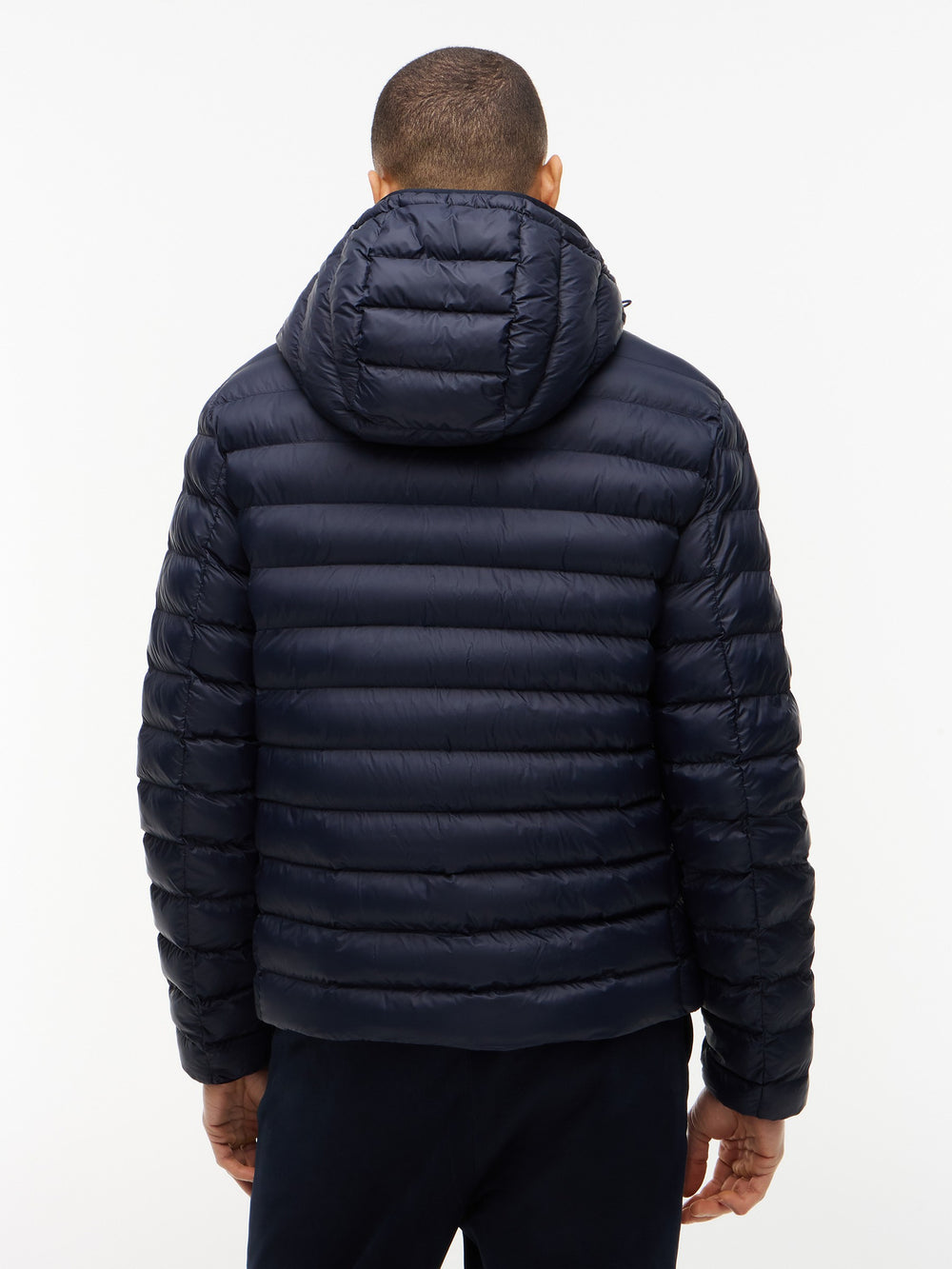 Regular Fit Quilted or Padded Jacket