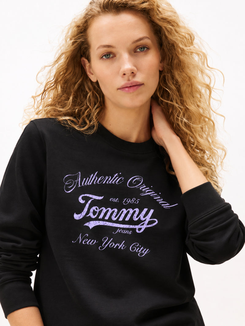 Regular Fit Terry Pullover