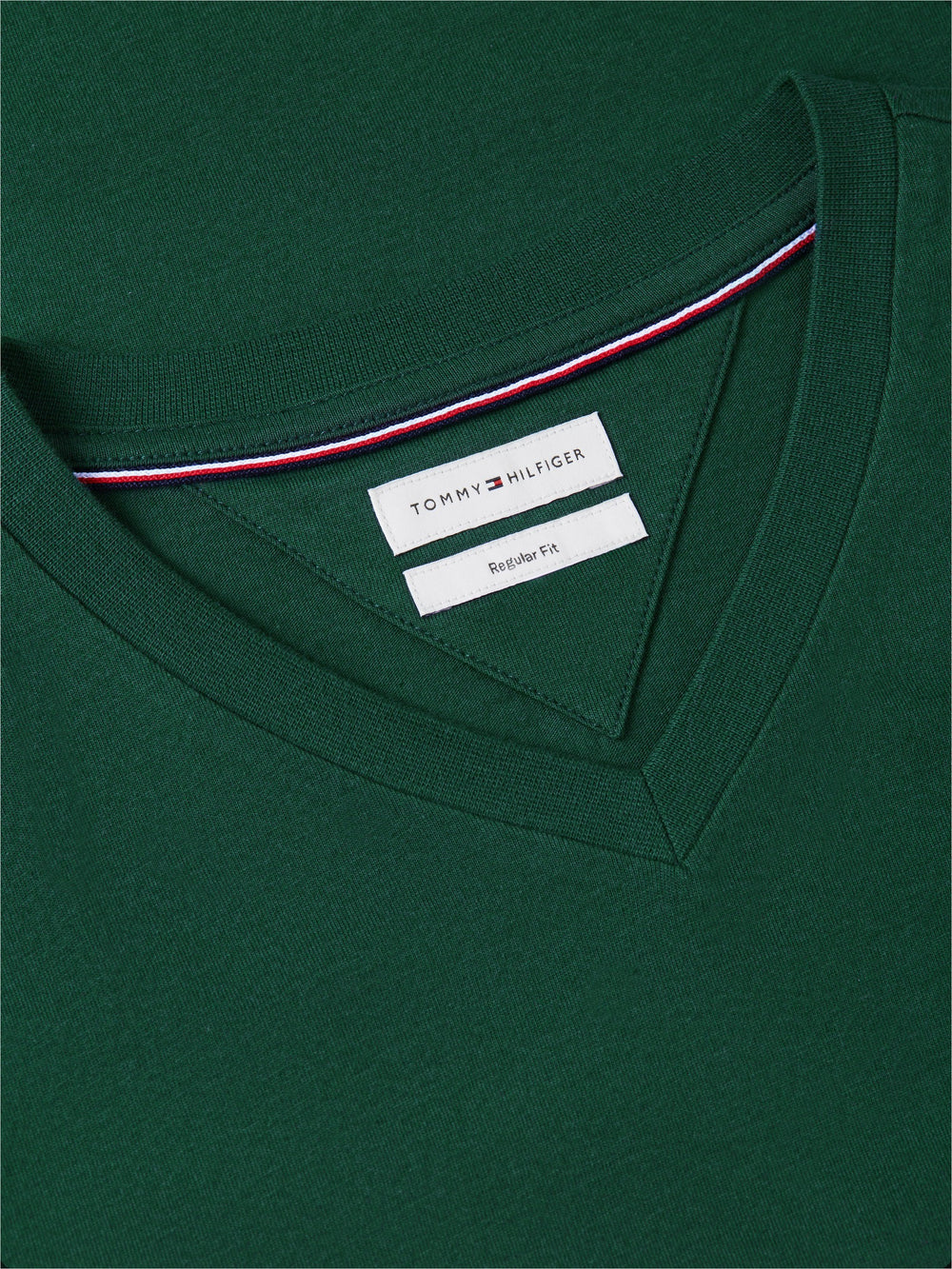 Regular Fit V Neck T-Shirt