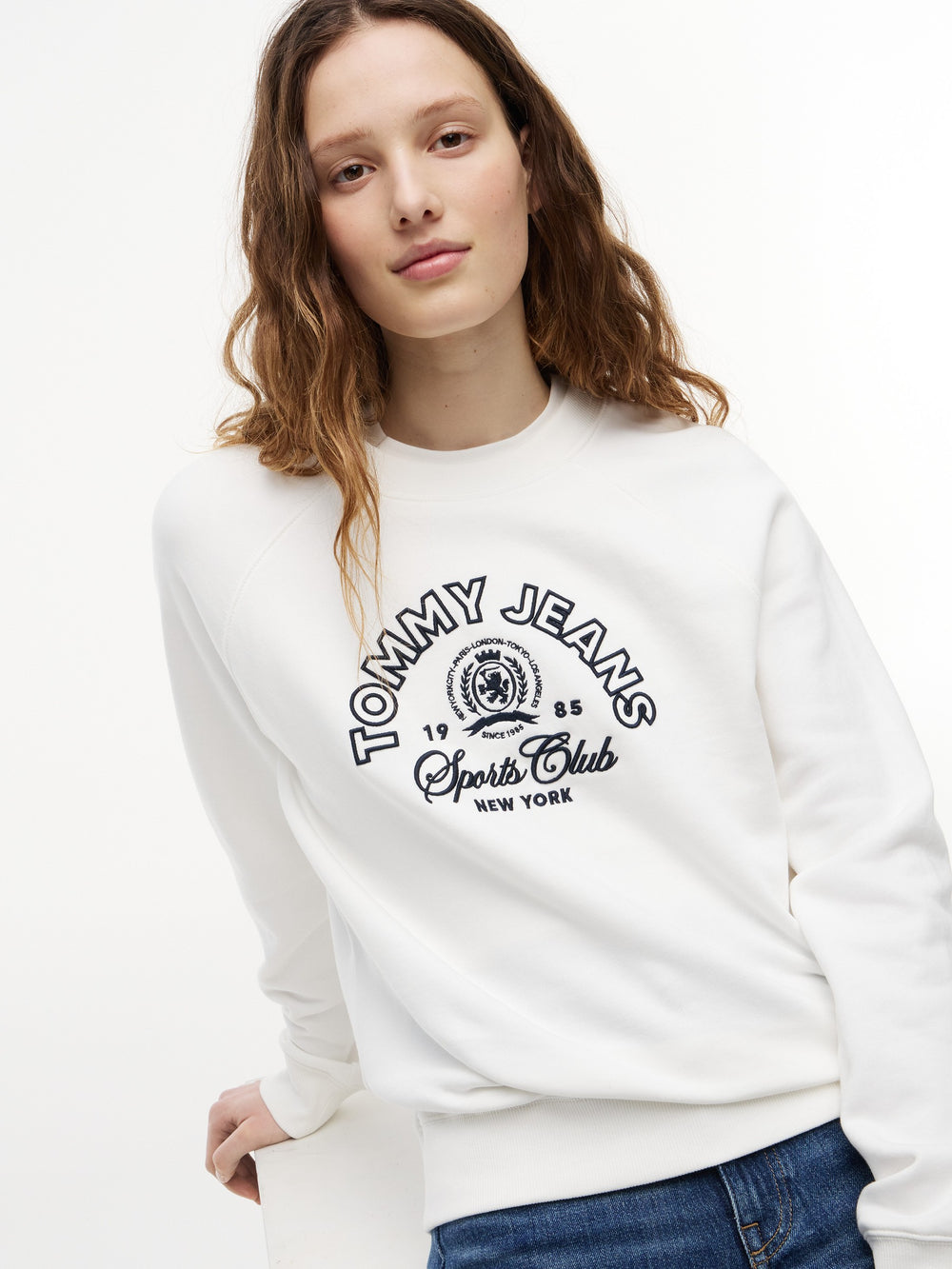 Regular Fit Terry Pullover