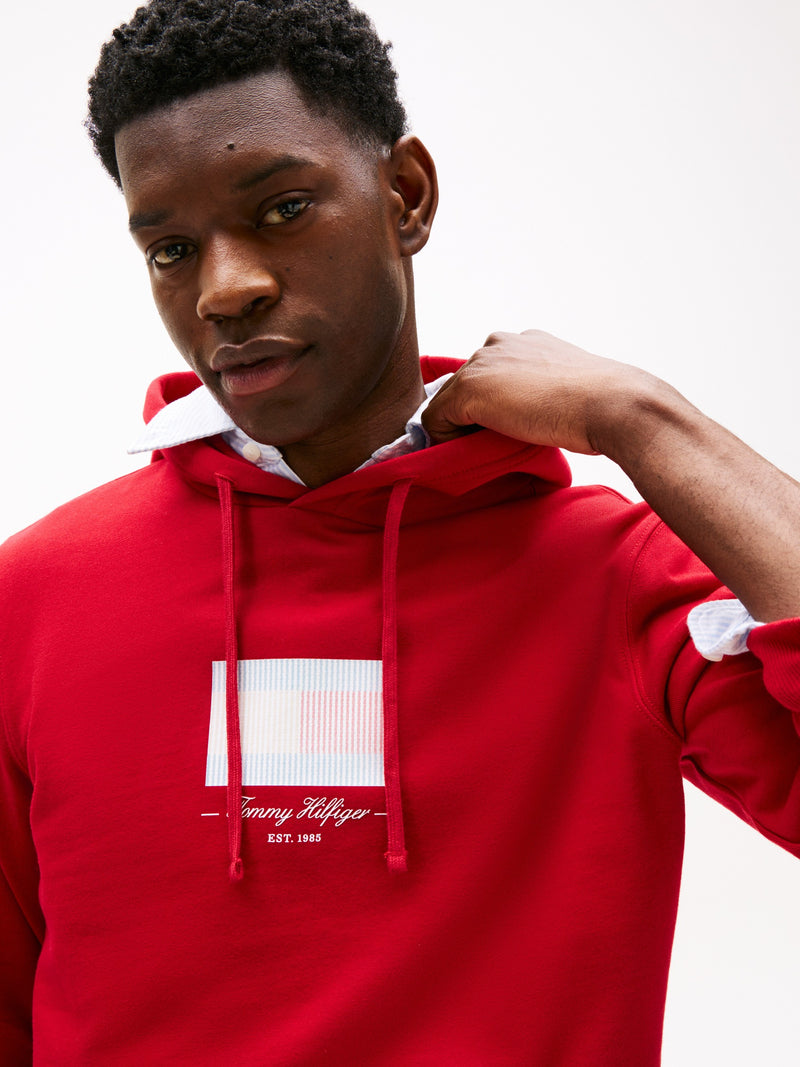 Regular Fit Graphic Print Hoodie