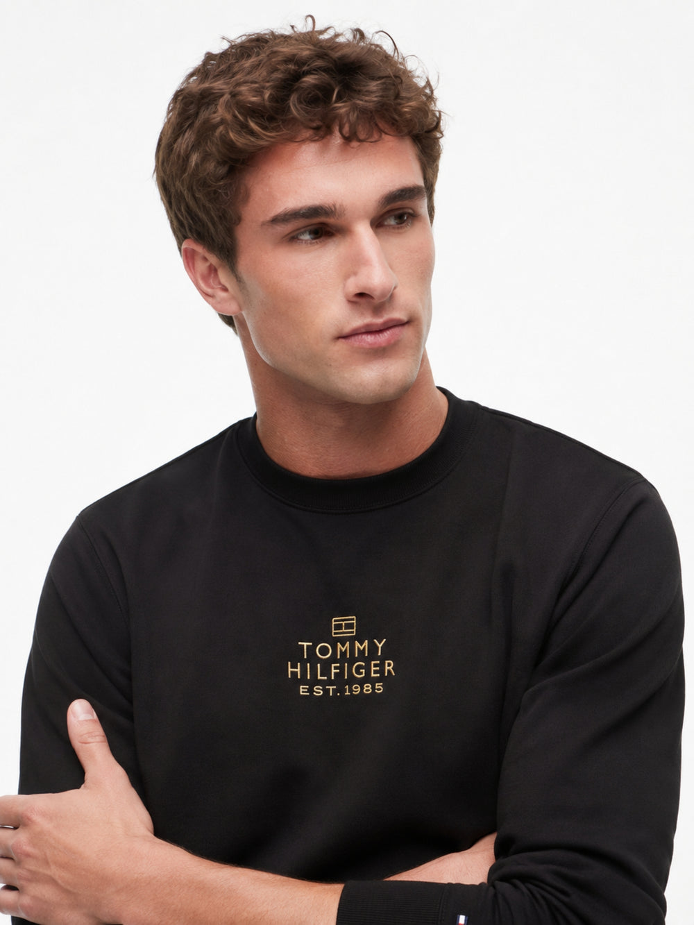 Regular Fit Embroidered Interlock Pullover