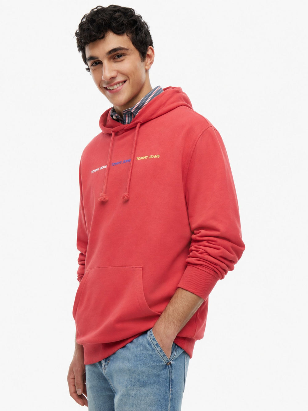 Regular Fit Terry Hooded Sweatshirt