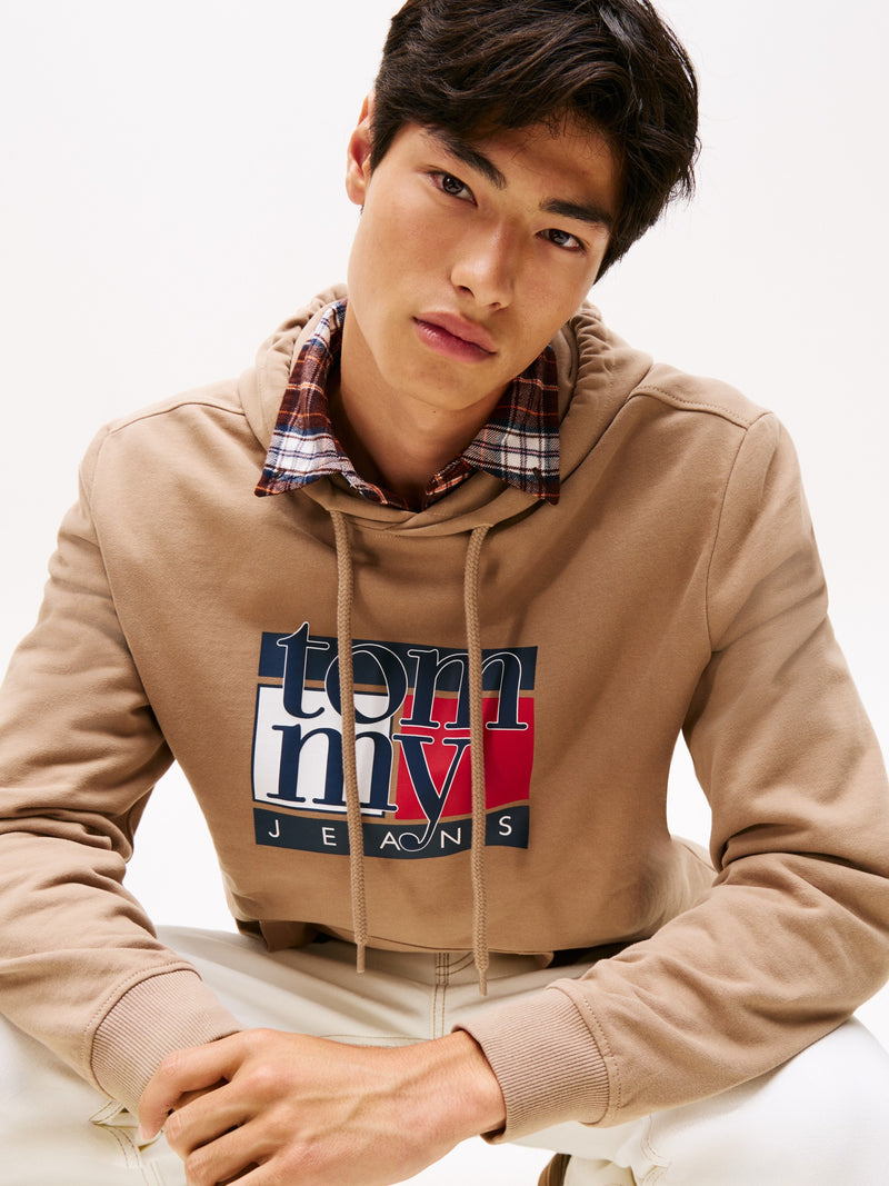 Regular Fit Terry Hooded Sweatshirt