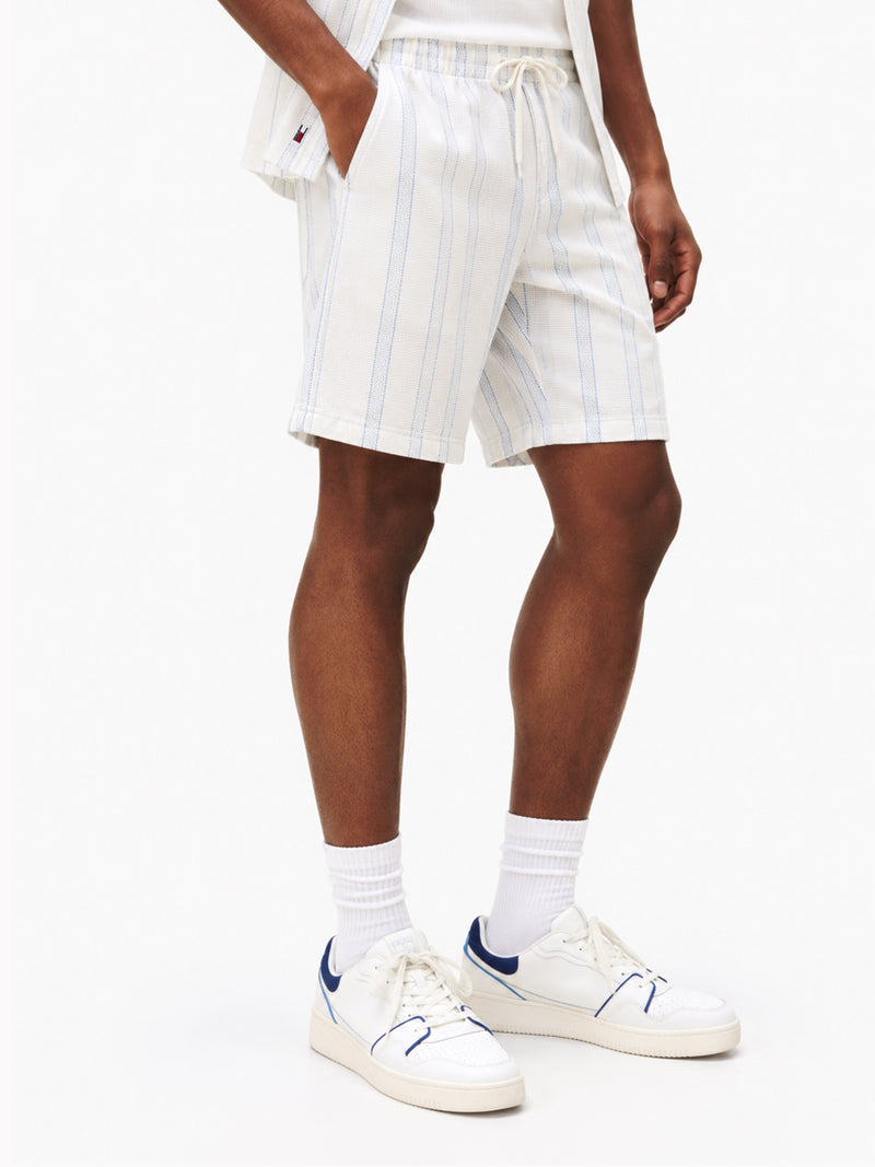 Men Regular Fit Shorts