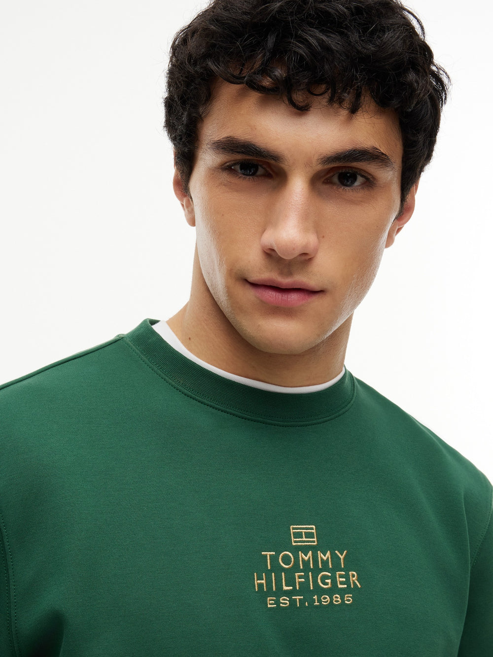 Regular Fit Embroidered Interlock Pullover