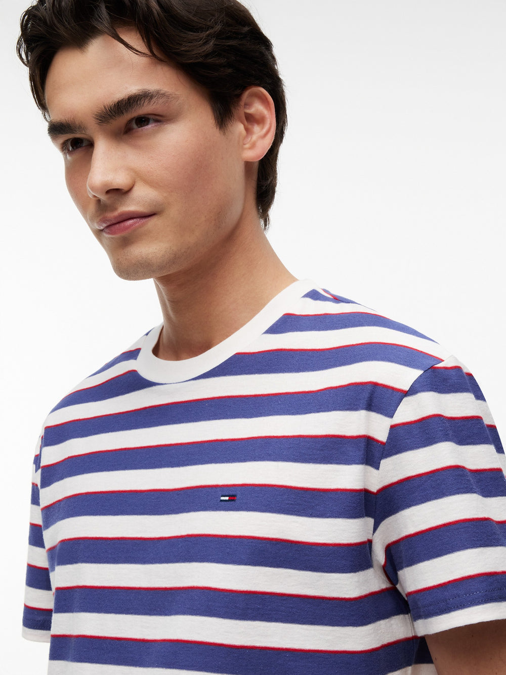 Regular Fit Stripe T-Shirt
