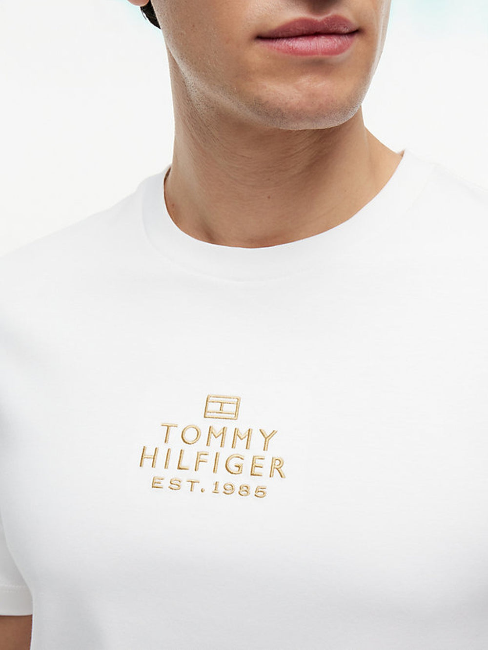 Regular Fit Embroidered Interlock Tshirt