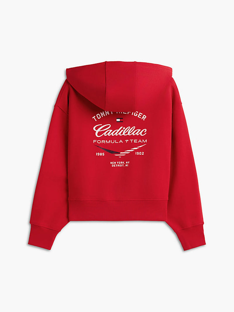 Regular Fit Terry Hoodie