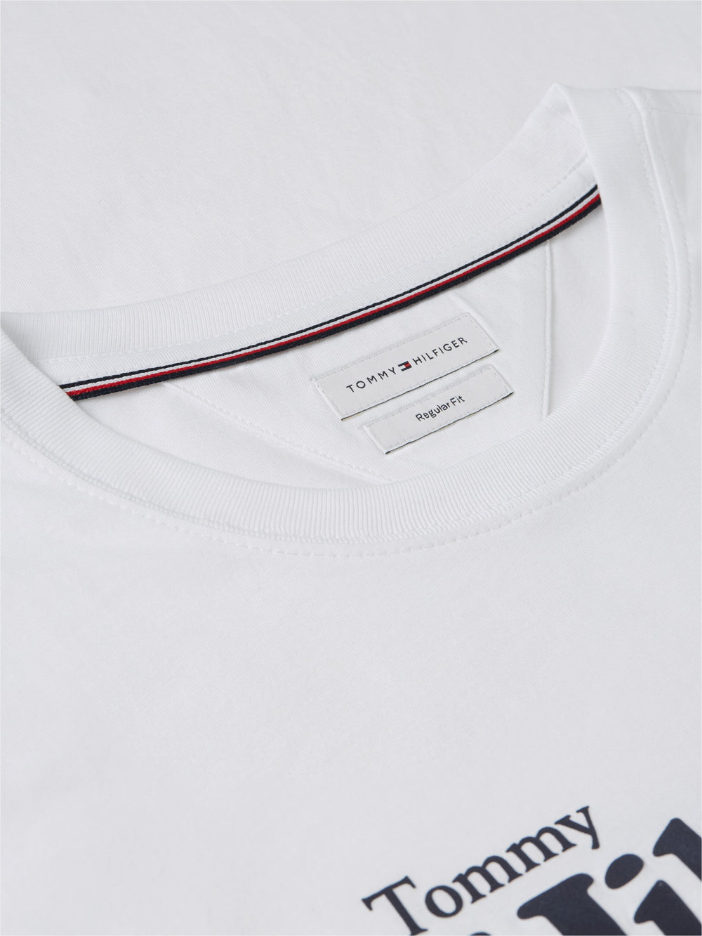Regular Fit Graphic Tshirt