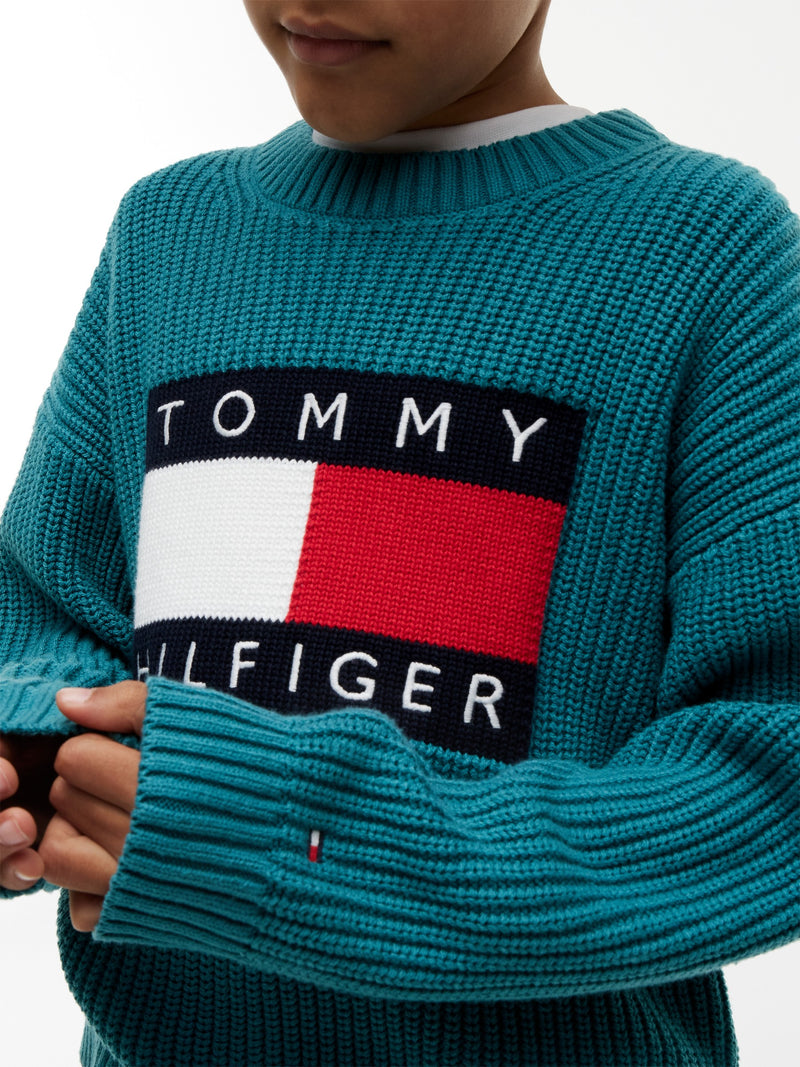 Kids Flag Logo Sweater