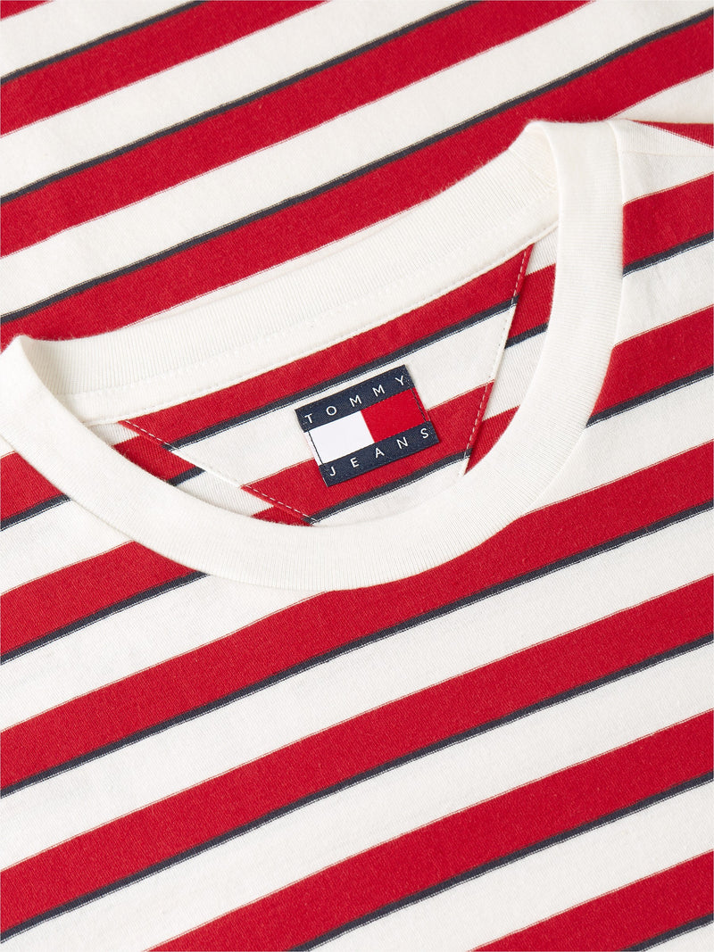 Regular Fit Stripe T-Shirt