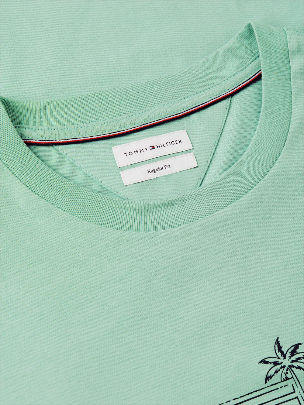 Regular Fit Graphic Print Tshirt