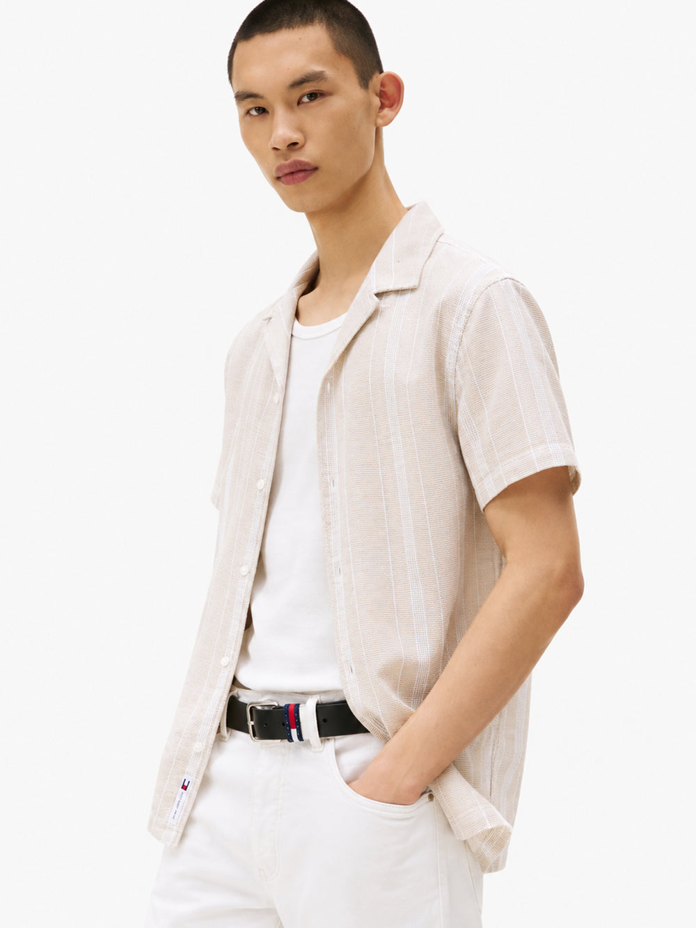 Regular Fit Stripe Textured Shirt