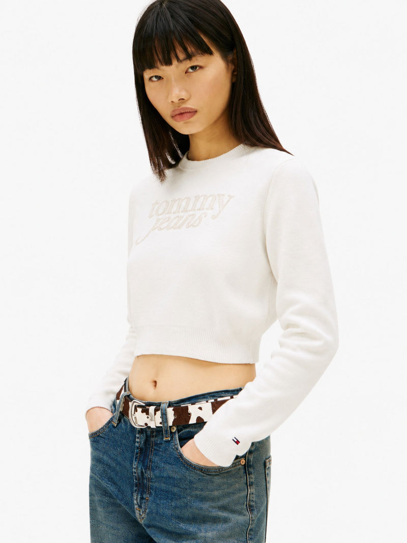 Full Sleeve Slim Fit Pullover