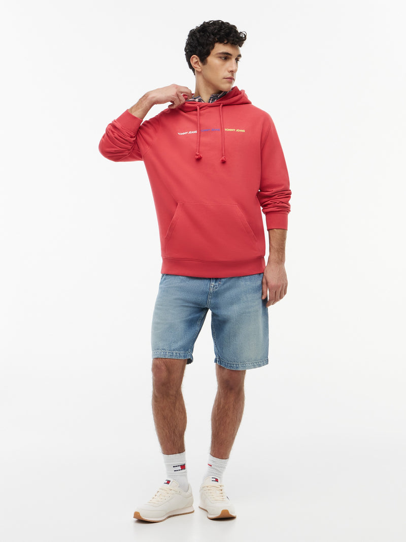 Regular Fit Terry Hooded Sweatshirt