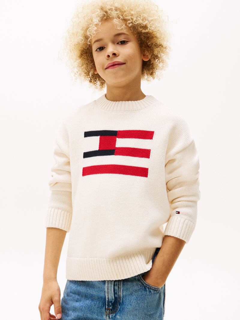 Kids Flag Logo Sweater