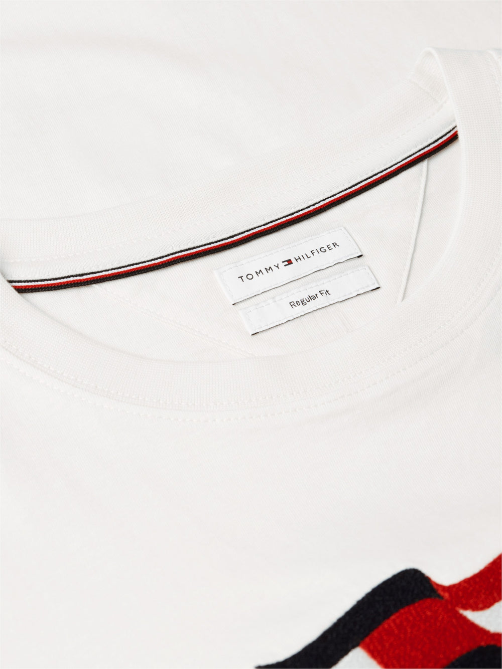 Regular Fit Graphic Print Tshirt