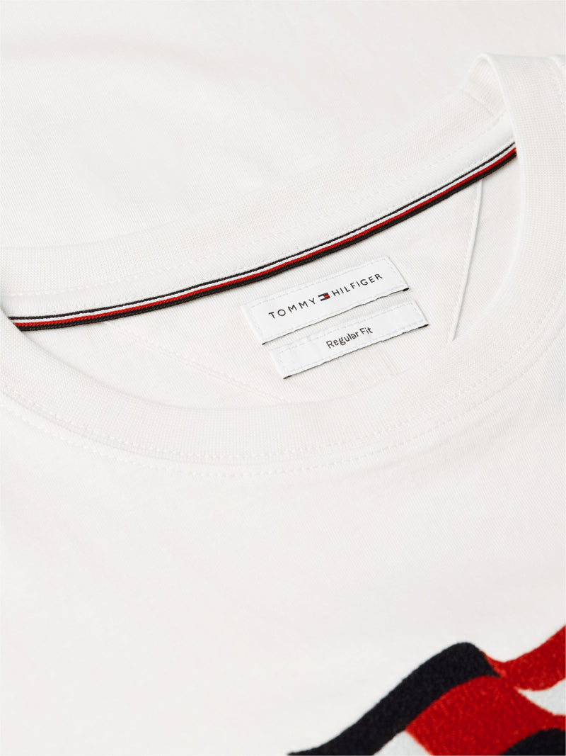 Regular Fit Graphic Print Tshirt