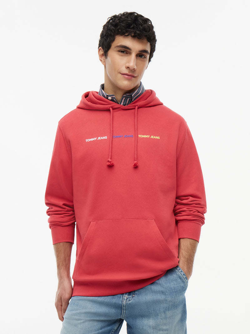 Regular Fit Terry Hooded Sweatshirt