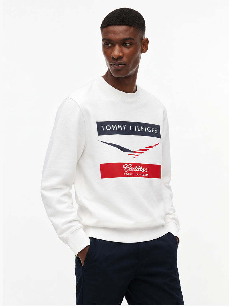 Regular Fit Cf1 Pullover