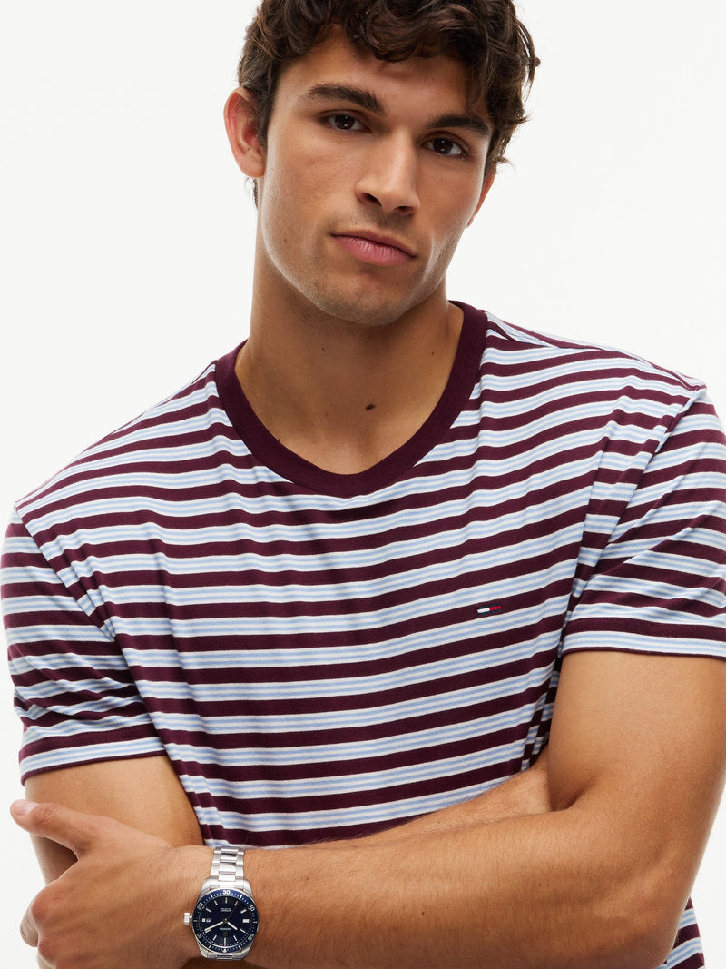 Regular Fit Stripe T-Shirt