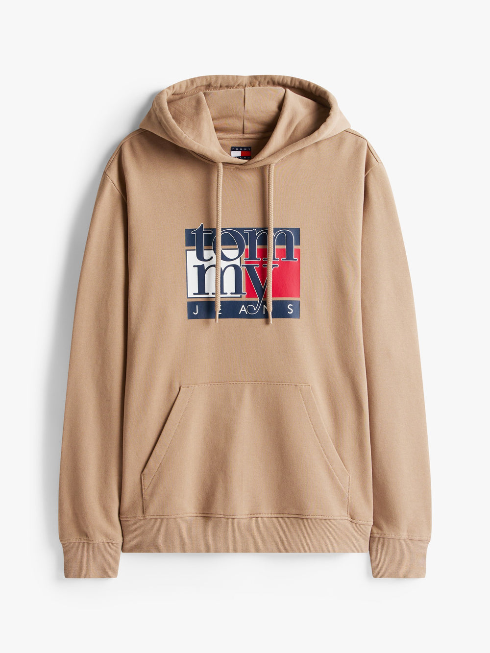 Regular Fit Terry Hooded Sweatshirt