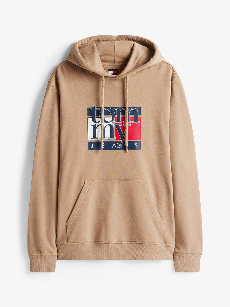 Regular Fit Terry Hooded Sweatshirt