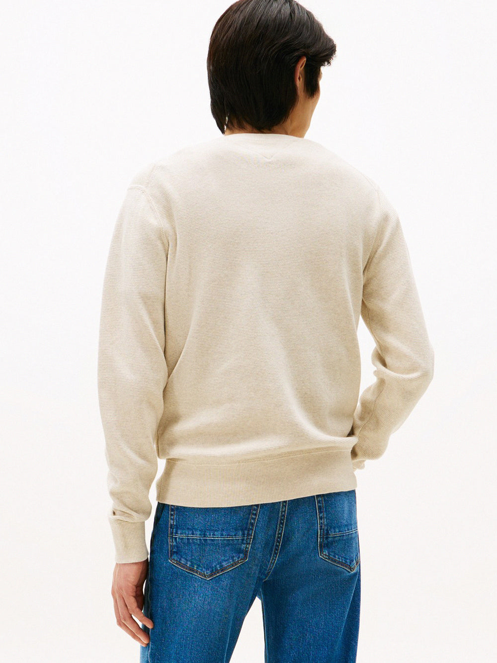 Regular Fit Crew Neck Pullover