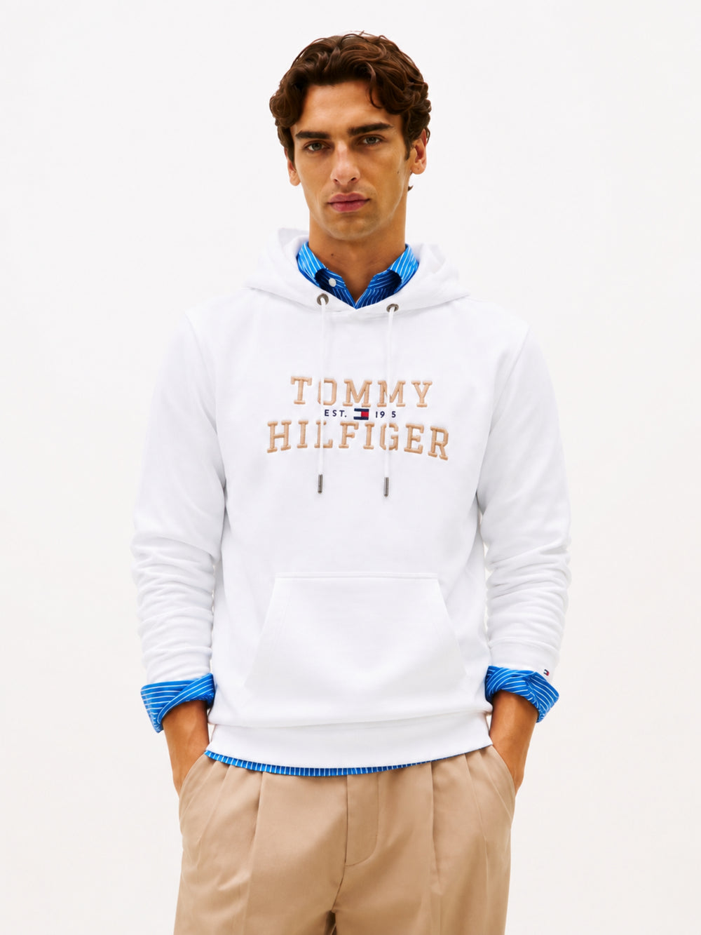 Regular Fit Embroidered Interlock Hoodie