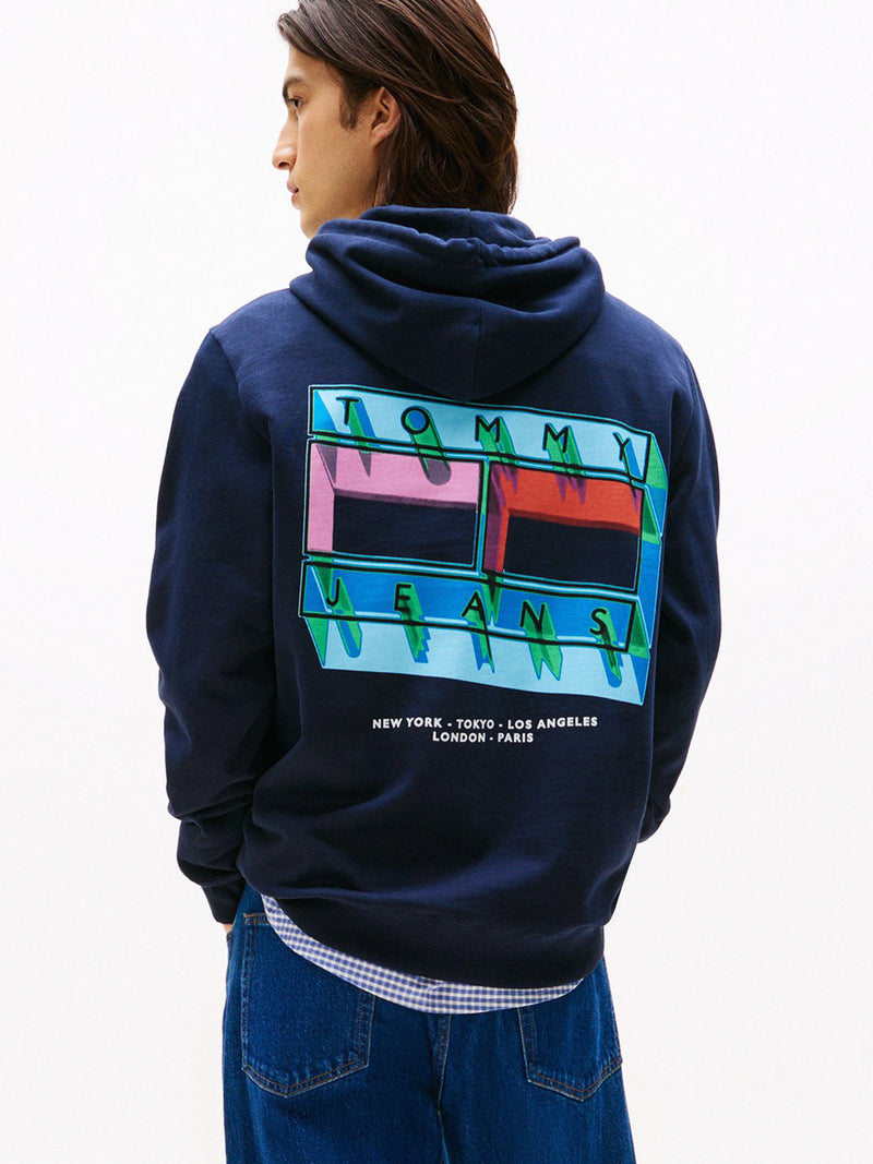 Regular Fit Terry Hooded Sweatshirt