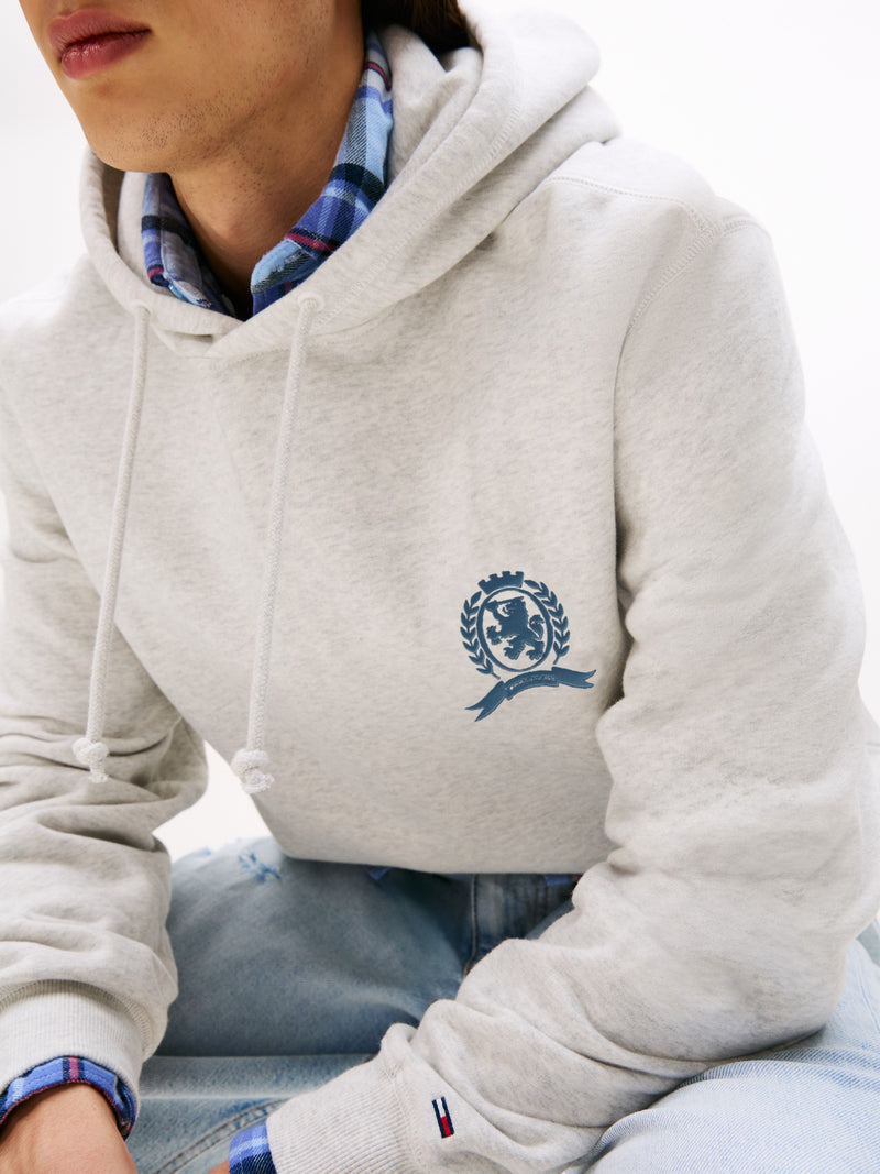 Regular Fit Brushed Fleece Hooded Sweatshirt