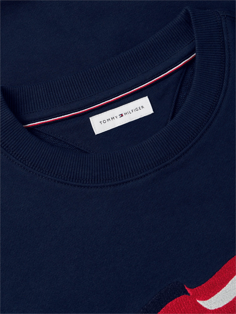 Flag Logo Terry Pullover