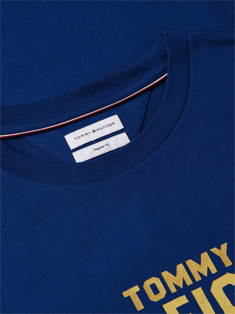 Regular Fit Graphic Print Tshirt