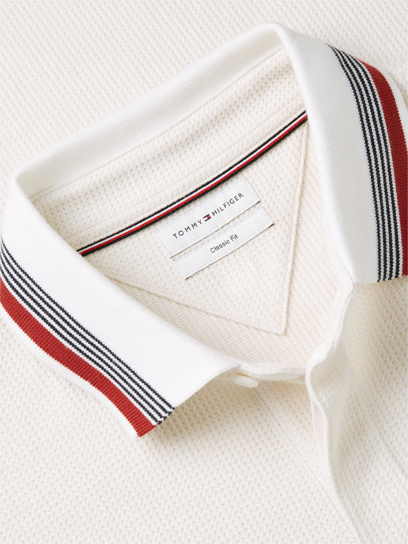 Regular Fit Textured Polo