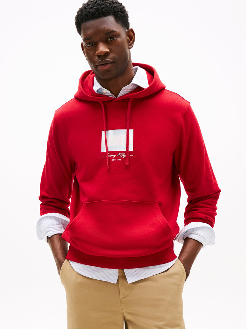 Regular Fit Graphic Print Hoodie